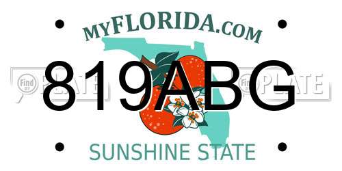 819ABG Florida License Plate