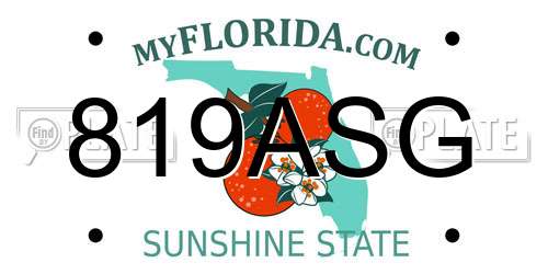 819ASG Florida License Plate
