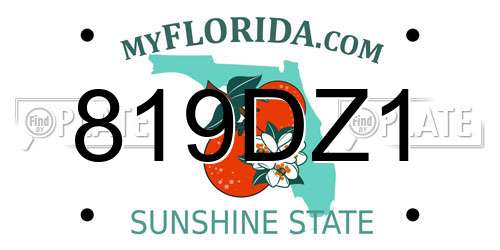 819DZ1 Florida License Plate