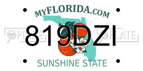 819DZI Florida License Plate