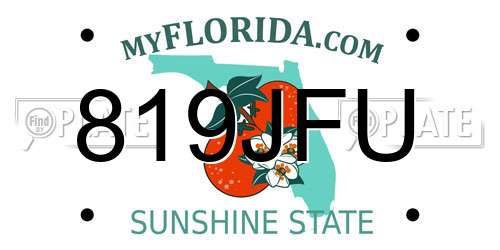 819JFU Florida License Plate