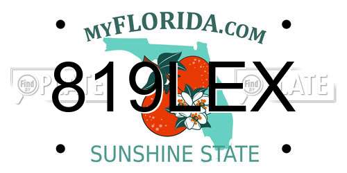 819LEX Florida License Plate