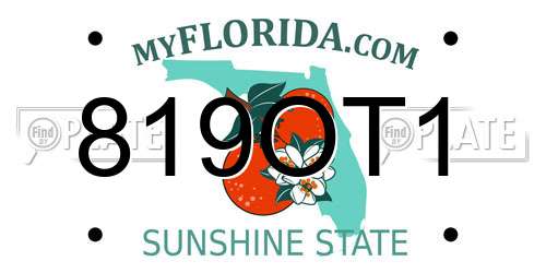 819OT1 Florida License Plate