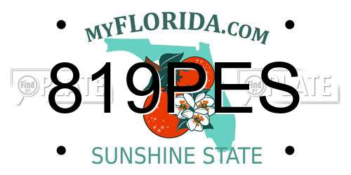 819PES Florida License Plate