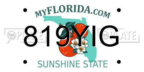 819YIG Florida License Plate