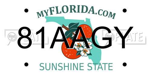 81AAGY Florida License Plate