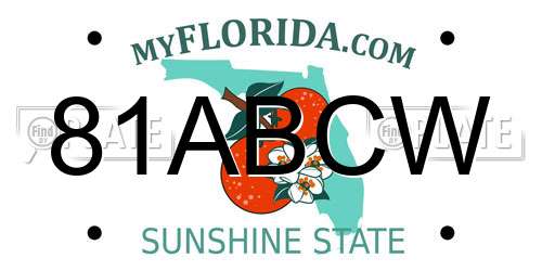 81ABCW Florida License Plate