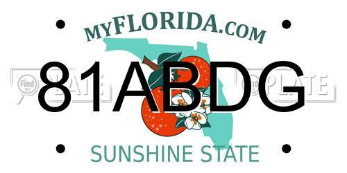 81ABDG Florida License Plate