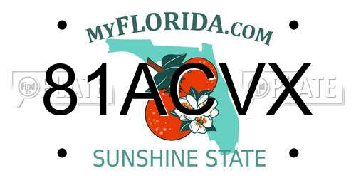 81ACVX Florida License Plate