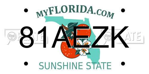 81AEZK Florida License Plate