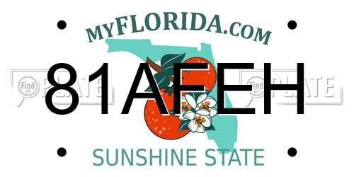 81AFEH Florida License Plate