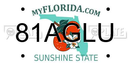 81AGLU Florida License Plate