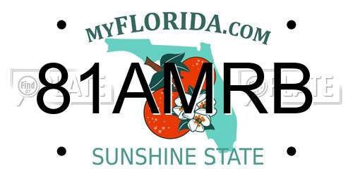 81AMRB Florida License Plate
