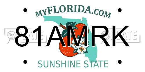 81AMRK Florida License Plate
