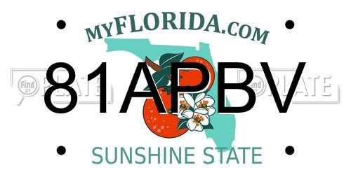 81APBV Florida License Plate