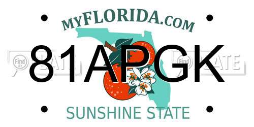81APGK Florida License Plate