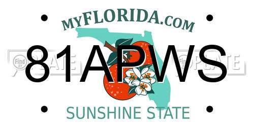 81APWS Florida License Plate