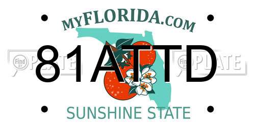 81ATTD Florida License Plate