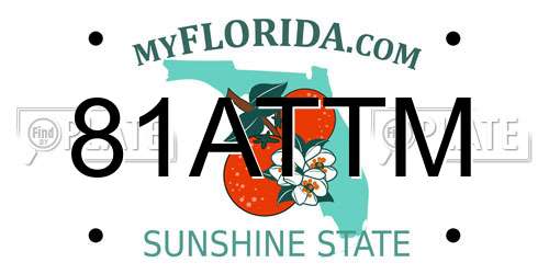 81ATTM Florida License Plate