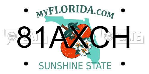 81AXCH Florida License Plate