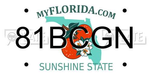 81BCGN Florida License Plate