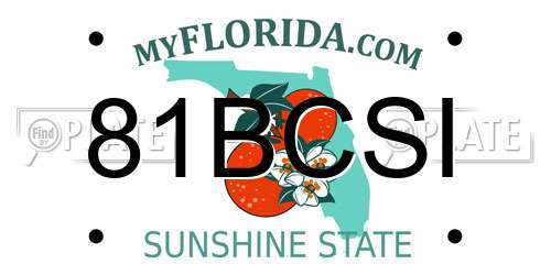 81BCSI Florida License Plate