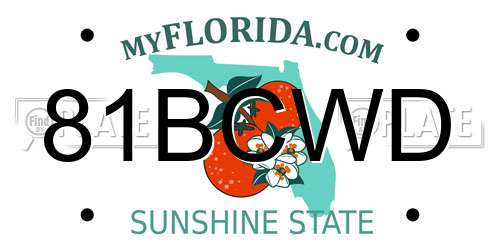 81BCWD Florida License Plate