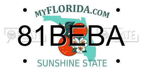 81BEBA Florida License Plate