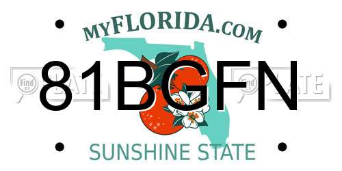 81BGFN Florida License Plate