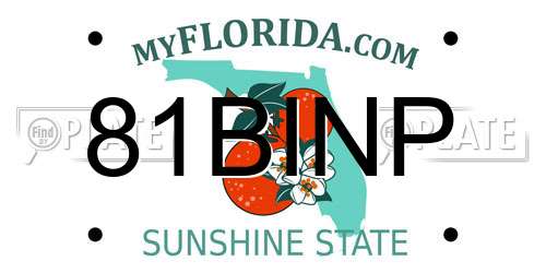 81BINP Florida License Plate