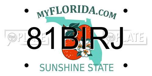 81BIRJ Florida License Plate