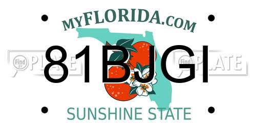 81BJGI Florida License Plate