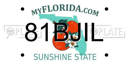 81BJIL Florida License Plate
