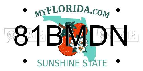 81BMDN Florida License Plate