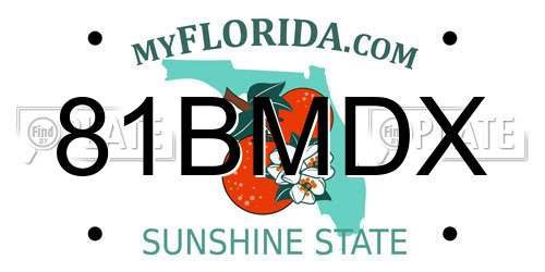 81BMDX Florida License Plate