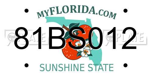 81BS012 Florida License Plate