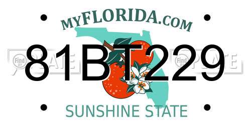 81BT229 Florida License Plate