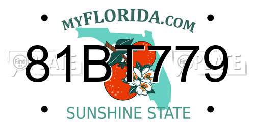 81BT779 Florida License Plate