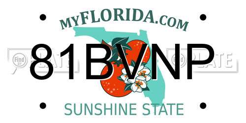 81BVNP Florida License Plate