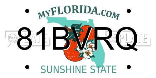 81BVRQ Florida License Plate
