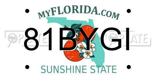 81BYGI Florida License Plate