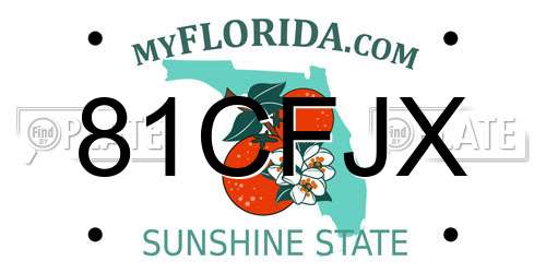 81CFJX Florida License Plate