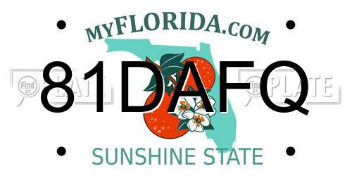 81DAFQ Florida License Plate