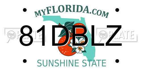 81DBLZ Florida License Plate