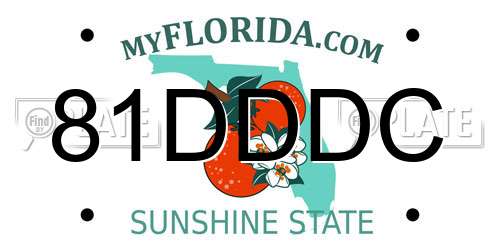 81DDDC Florida License Plate