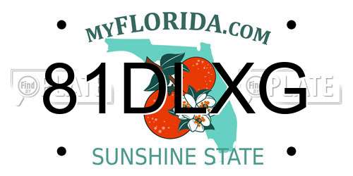 81DLXG Florida License Plate