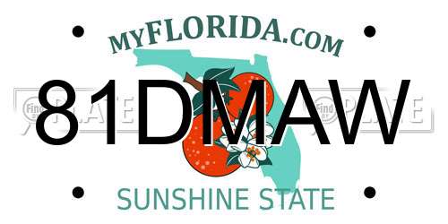 81DMAW Florida License Plate