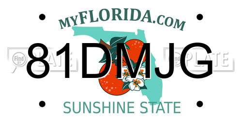 81DMJG Florida License Plate