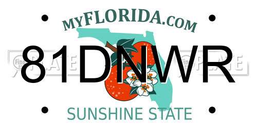 81DNWR Florida License Plate