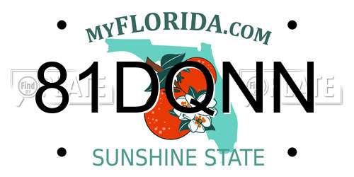 81DQNN Florida License Plate